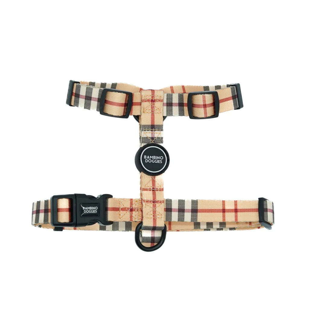 ARNES CLASICO EN H MODELO LONDRES TALLA M